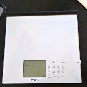 Taylor Food Scale